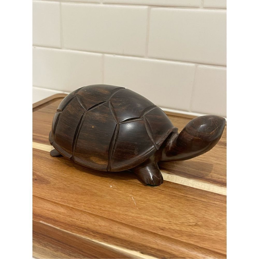 Handācarvedā
Mahoganyāturtle - Picture 8 of 8